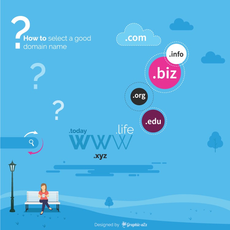 Domain Selection Infographic Template
